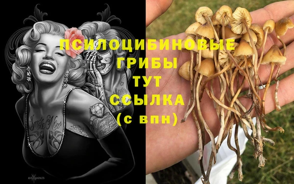 хмурый Арсеньев