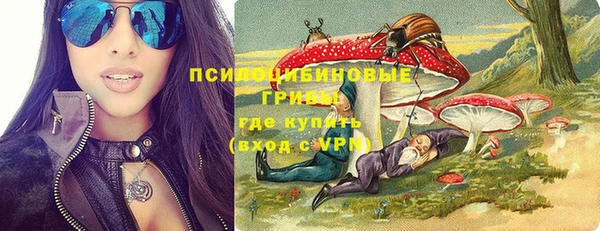 ECSTASY Алексин