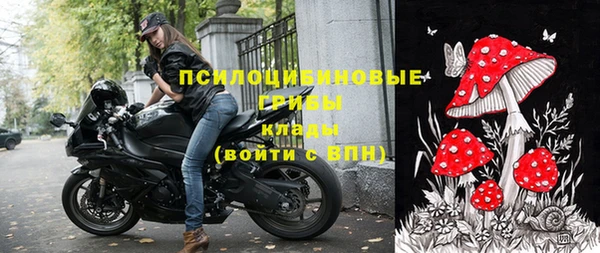 хмурый Арсеньев