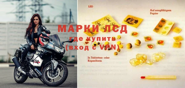 хмурый Арсеньев