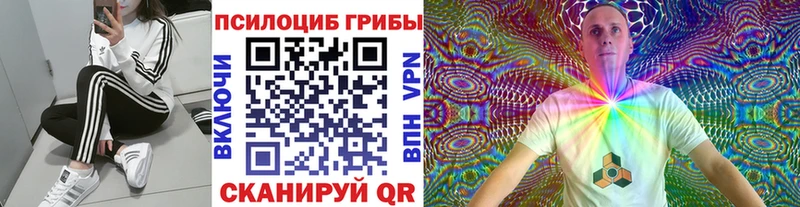 Галлюциногенные грибы Cubensis  Купить  Нестеровская 